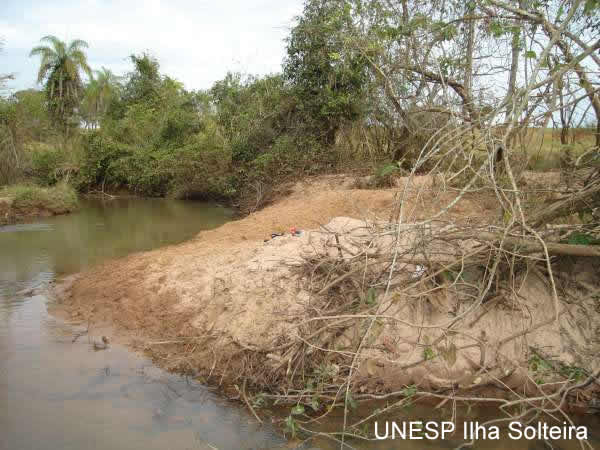 Ponto 4, C&oacute;rrego do Coqueiro, banco de areia, agosto de 2008